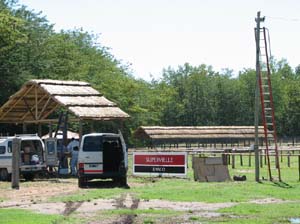IMG_1891