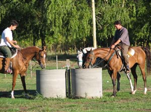 IMG_1937