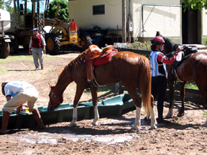 stopping for water in Alvarez de Toledo