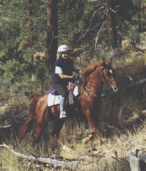 High Mileage Horse&Rider Team: Karen Steenhof and Simon