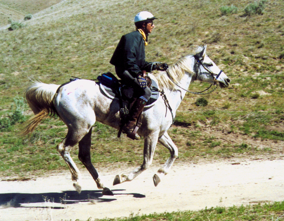 High Mileage Horse&Rider Team: Bruce Murdock and SR Shabu