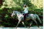 High Mileage Horse&Rider Team: Ellen Osinski & Joker's Bald Eagle