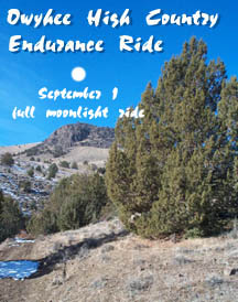 Owyhee High Country Endurance Ride