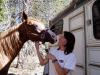 Beth Glover and Summer. She has been training for 6 years and always wanted to do the Tevis.