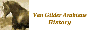 Send Email to Van Gilder Arabians