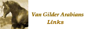 Send Email to Van Gilder Arabianfs