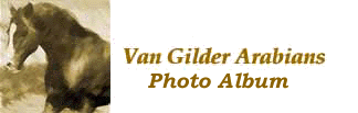 Send Email to Van Gilder Arabians