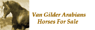 Send Email to Van Gilder Arabians