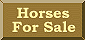 Horses For Sale