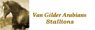 Send Email to Van Gilder Arabians